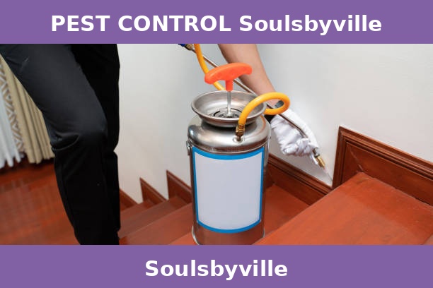 PEST CONTROL Soulsbyville